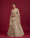 Mohey Women Soft Beige Scallop Patterned Lehenga with Sequin Embroidery