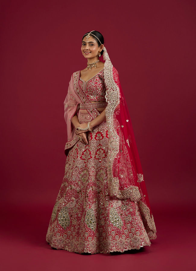 Mohey Women Scarlet Red Embroidered Lehenga with Stone Work, Peacock And Bel Buti Motifs