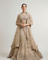 Soft Fawn Chevron Patterned Lehenga with Cutdana, Sequin And Mirror Work