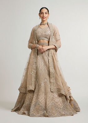 Mohey Women Soft Fawn Chevron Patterned Lehenga with Cutdana, Sequin And Mirror Work