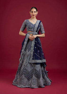 Mohey Women Indigo Blues Regalia Lehenga