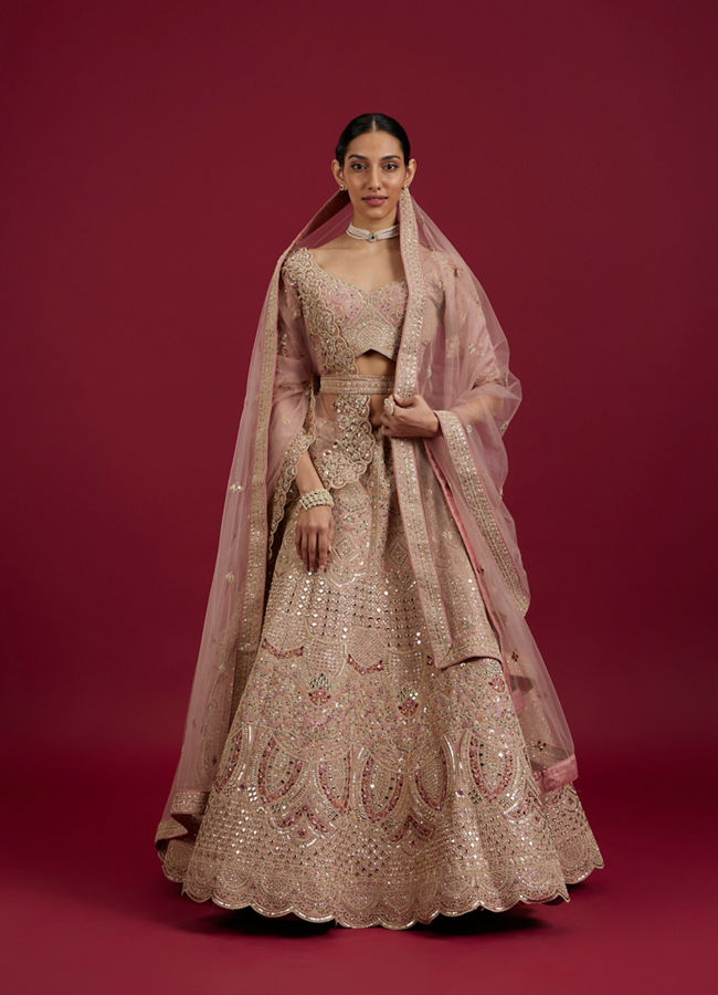 Mohey Women Pink Elegance Lehenga