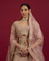 Mohey Women Pink Elegance Lehenga