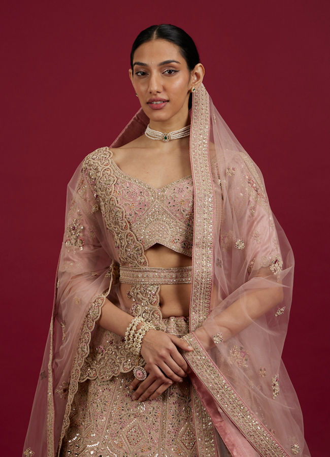 Mohey Women Pink Elegance Lehenga