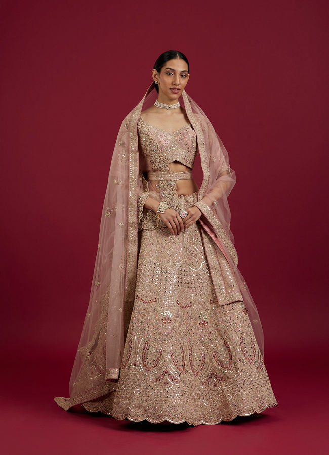Mohey Women Pink Elegance Lehenga