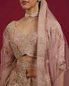 Mohey Women Pink Elegance Lehenga