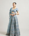 alt message - Mohey Women Ethereal Blue Net Lehenga image number 2