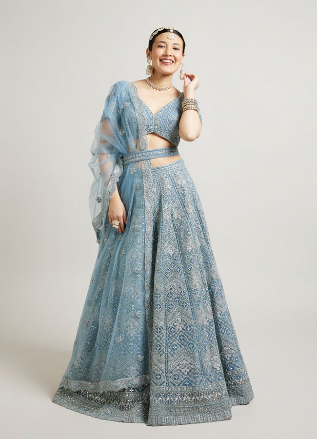 alt message - Mohey Women Ethereal Blue Net Lehenga image number 1