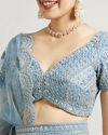 Mohey Women Ethereal Blue Net Lehenga