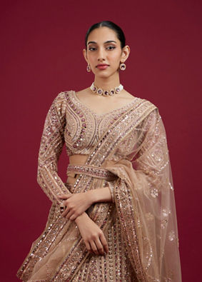 Mohey Women Golden Glory Fawn Lehenga