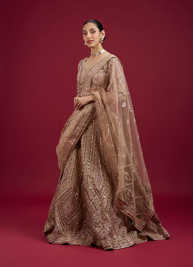 Mohey Women Golden Glory Fawn Lehenga
