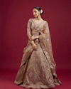 Golden Glory Fawn Lehenga