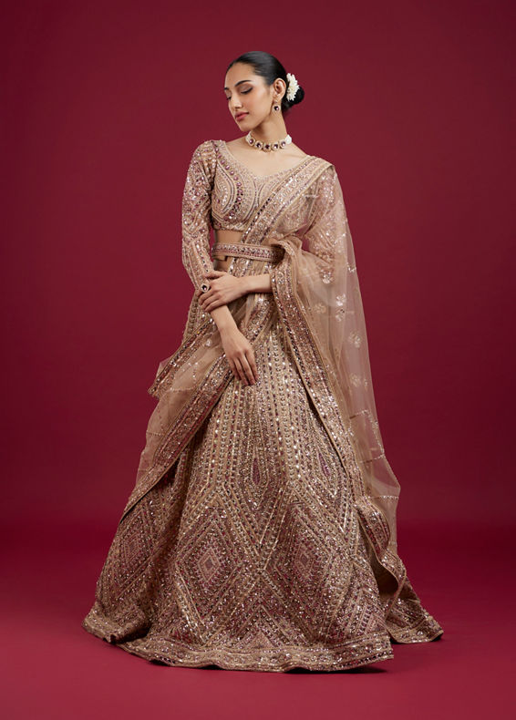 Mohey Women Golden Glory Fawn Lehenga