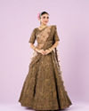 Exquisite Fawn Delight Lehenga