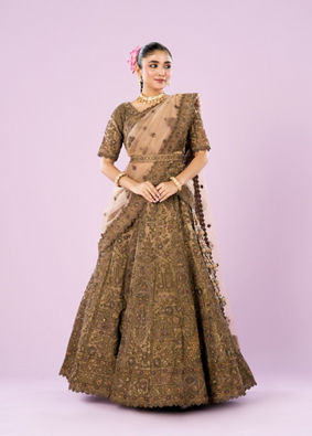 Mohey Women Exquisite Fawn Delight Lehenga