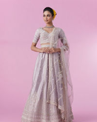 Mohey Women Fawn Elegance Lehenga