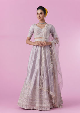Mohey Women Fawn Elegance Lehenga