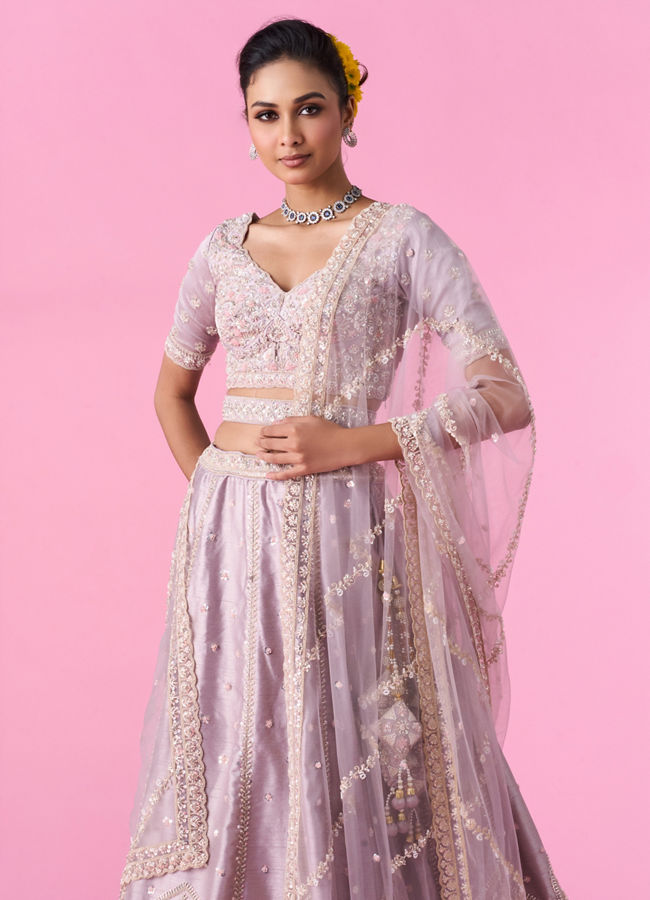 Mohey Women Fawn Elegance Lehenga