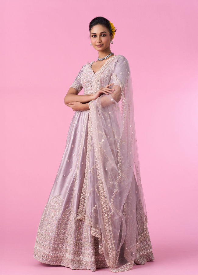 Mohey Women Fawn Elegance Lehenga