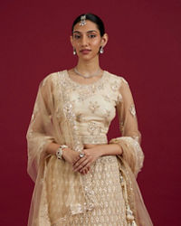 Mohey Women Elegant Cream Netted Lehenga