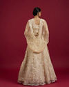 Mohey Women Elegant Cream Netted Lehenga