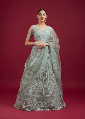 Mohey Women Pista Green Net Lehenga