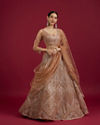 Fawn Net Ensemble Lehenga