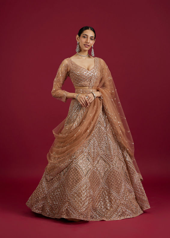 Mohey Women Fawn Net Ensemble Lehenga