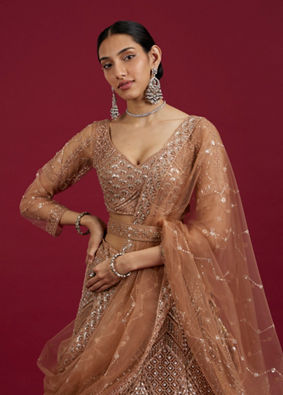 Mohey Women Fawn Net Ensemble Lehenga