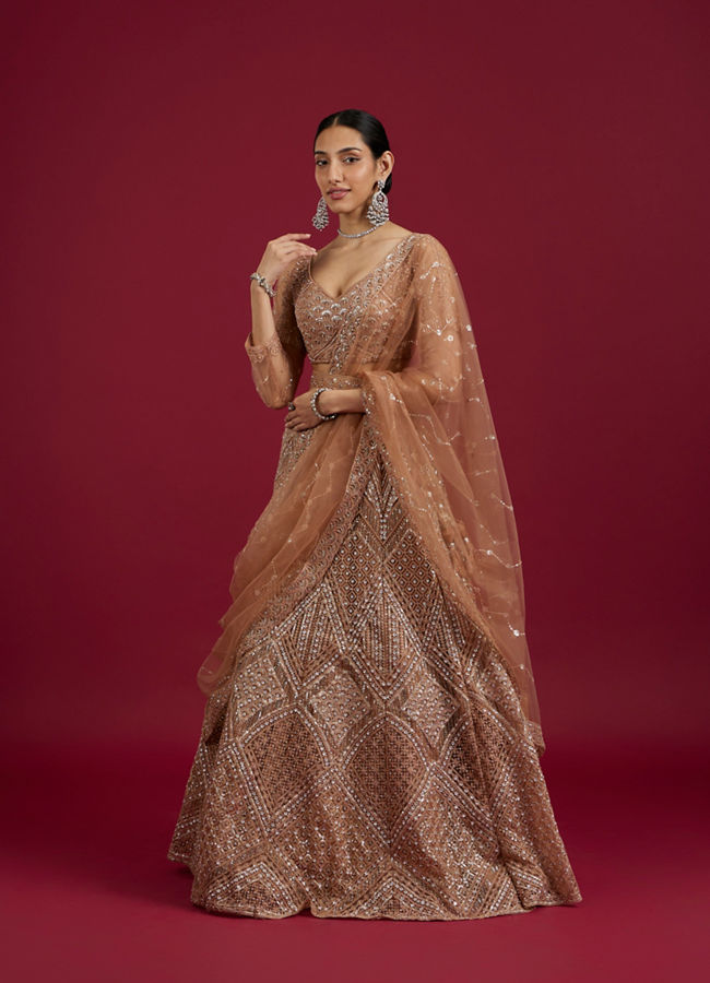 Mohey Women Fawn Net Ensemble Lehenga