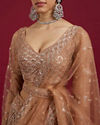 Mohey Women Fawn Net Ensemble Lehenga