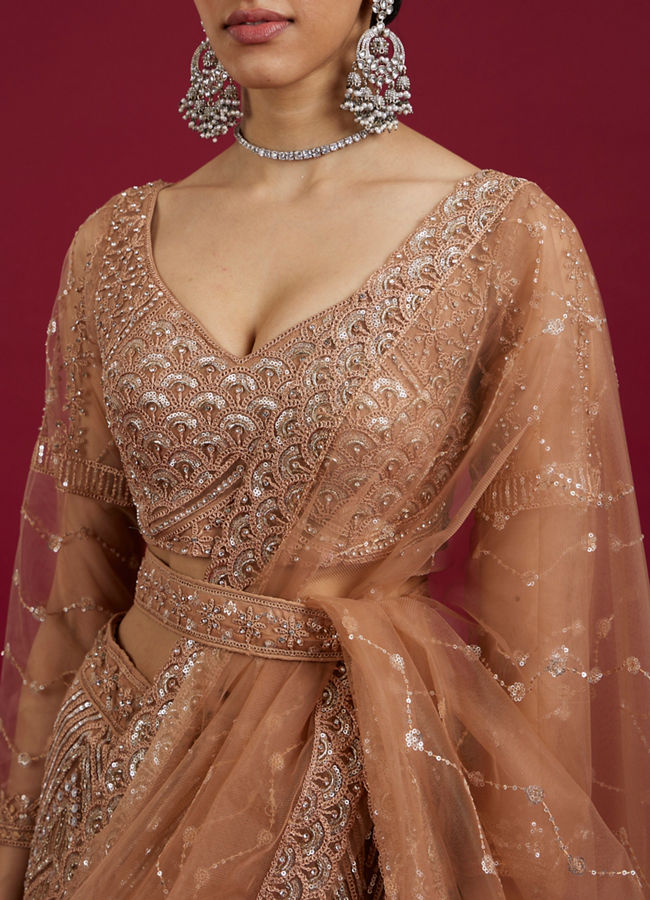 Mohey Women Fawn Net Ensemble Lehenga