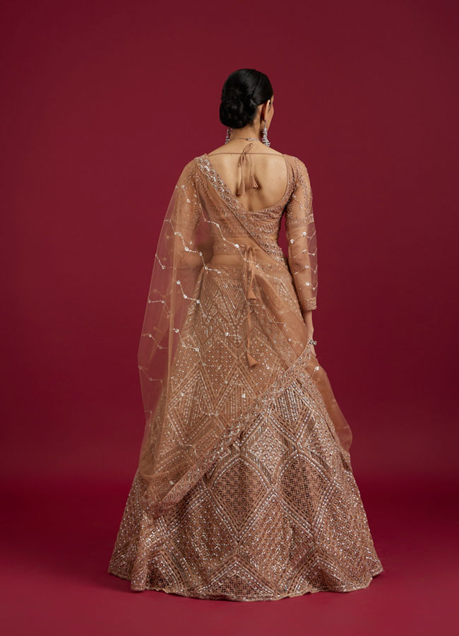 Mohey Women Fawn Net Ensemble Lehenga