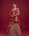 Mohey Women Gajree Pink Fantasy Lehenga
