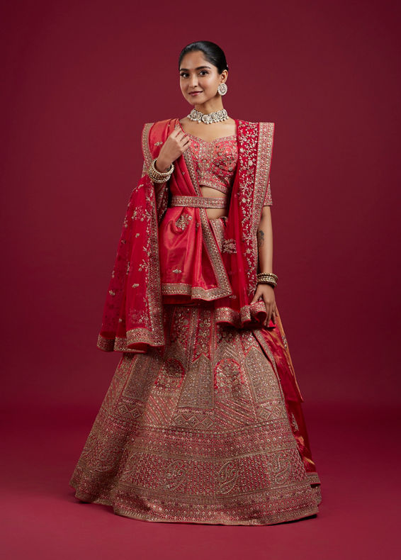 Mohey Women Gajree Pink Fantasy Lehenga