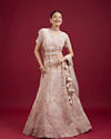 Blushful Pink Net Ensemble Lehenga