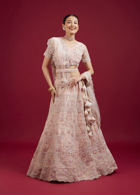 Mohey Women Blushful Pink Net Ensemble Lehenga