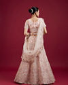 Mohey Women Blushful Pink Net Ensemble Lehenga