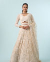 Exquisite Cream Net Bridal Lehenga
