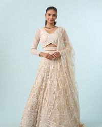 Mohey Women Exquisite Cream Net Bridal Lehenga