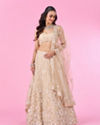 Cream Splendour Net Lehenga