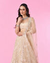 Mohey Women Cream Splendour Net Lehenga