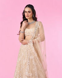 Mohey Women Cream Splendour Net Lehenga