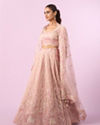 Mohey Women Enchanting Light Pink Lehenga