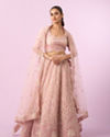Mohey Women Enchanting Light Pink Lehenga