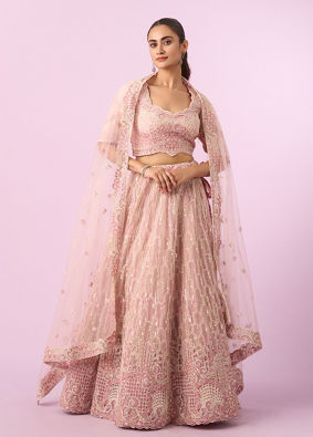 Mohey Women Enchanting Light Pink Lehenga