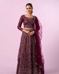 Mohey Women Enchanting Wine Net Lehenga