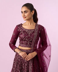 Mohey Women Enchanting Wine Net Lehenga