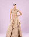 Exquisite Fawn Net Semi Bridal Lehenga