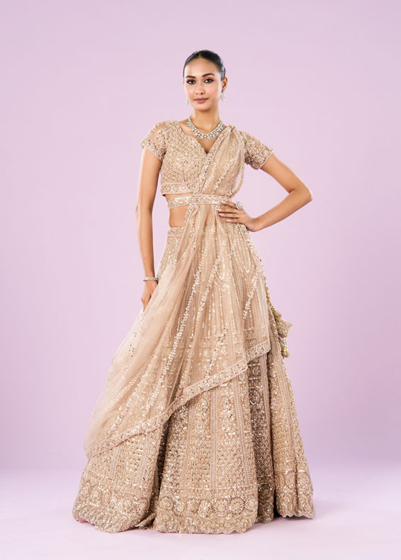 Mohey Women Exquisite Fawn Net Semi Bridal Lehenga